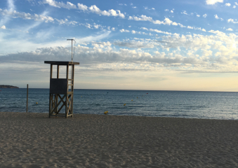 Bild Seminarreise Mallorca Reisebericht