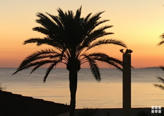 Bild Familienurlaub in Cala Ratjada auf Mallorca Reisebericht