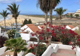 Bild ALDIANA CLUB FUERTEVENTURA - eine grüne Oase zum Wohlfühlen Reisebericht