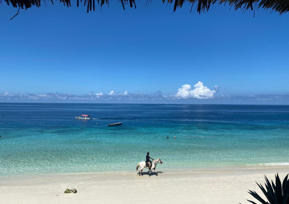 Bild von Expedition Afrika - Kenia & Sansibar