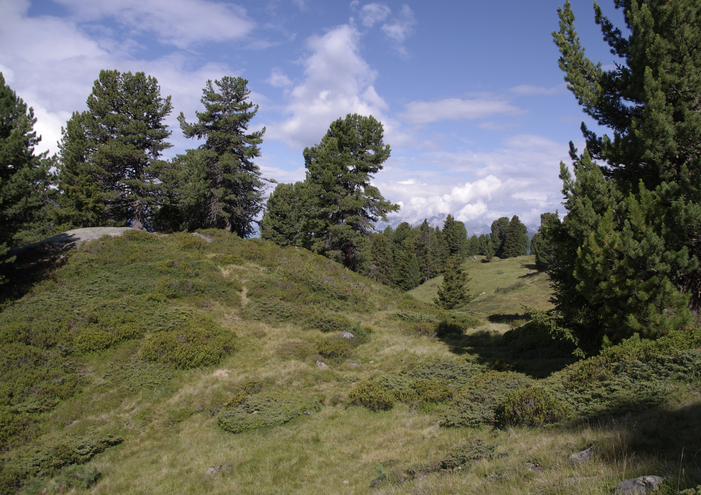 Bild von Salzburger Land - vielseitiger Urlaub in den Bergen